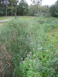 Weerterbergen canon 218