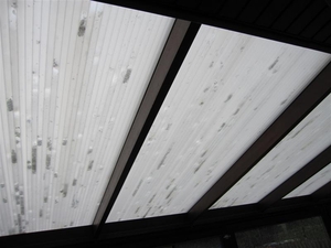 IMG_0067 (Medium)