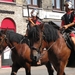 Veurne Boet Processie 129