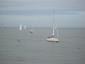 DSC02097