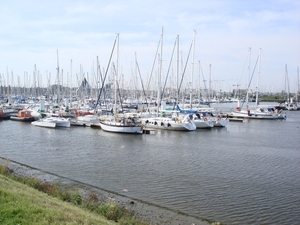 DSC02145