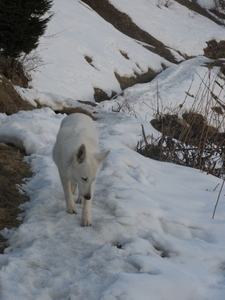 20100407 261 wo - ochtendwandeling