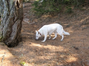 20100409 398 vr - wandeling