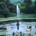 Powerscourt Gardens