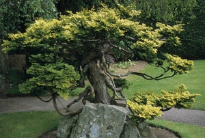 National Stud en Japanse Tuin