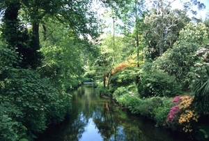 Mount Usher Gardens