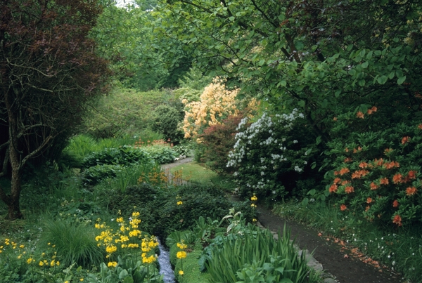 Mount Usher Gardens