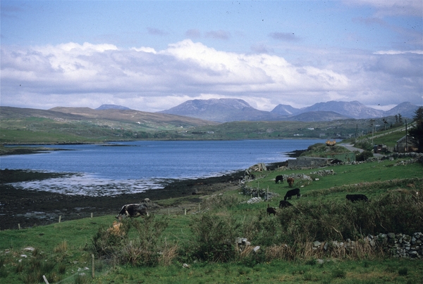 Connemara