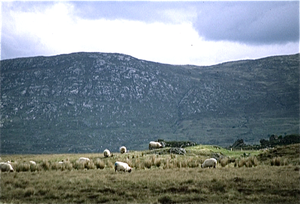 Connemara