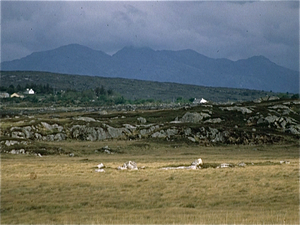 Connemara