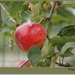 sized_DSC00115(001)