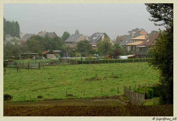 DSC00017 Pf2