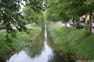 aktivia