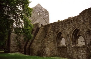 Boyle Abbey