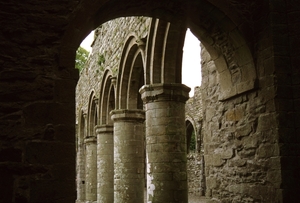 Boyle Abbey