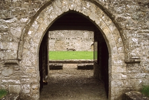 Boyle Abbey