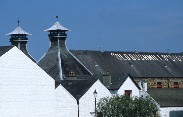 Old Bushmills Distillery