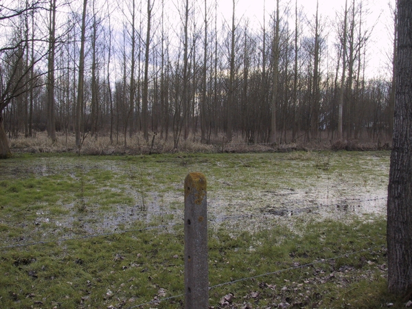 Landendries - Aaigem