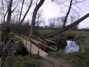 Landendries - Aaigem