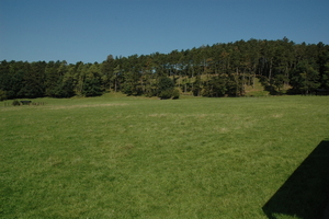 Het wilde dierenpark