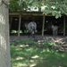 Het wilde dierenpark (6)