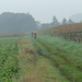 mtb merelbeke213