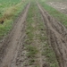 mtb merelbeke281
