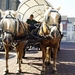 POL MARIEN EN DE GUST OP PAD MET DE KIDS VAN KADEE