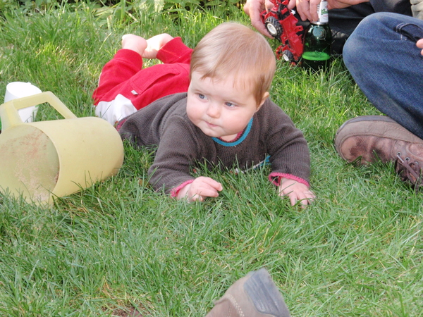 Gijsje op onderzoek in het gras.