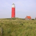 Texel 2010 036