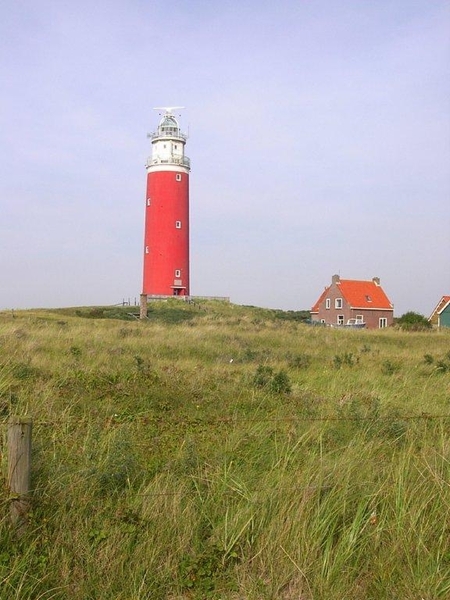 Texel 2010 036