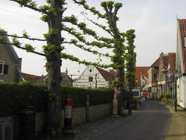 Texel 2010 046