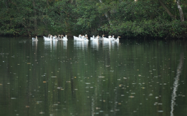2010 10 okt_3773