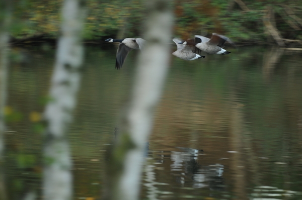 2010 10 okt_3880