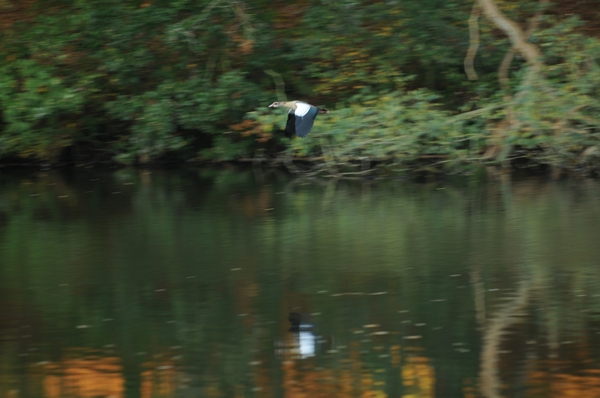 2010 10 okt_3917