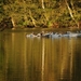 2010 10 okt_4064