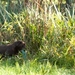 10102010-IMG_4205