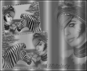 zebra