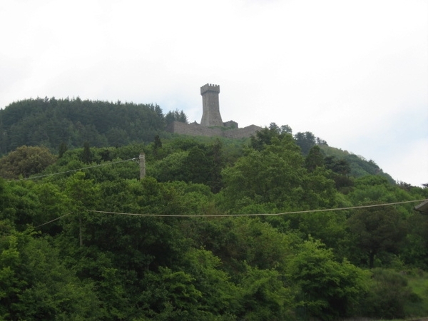 Reis Toscane 2010 (18)