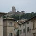 Reis Toscane 2010 (31)