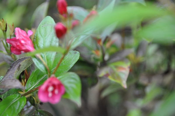 001 EIGEZINNIG EN FRAPPANT....