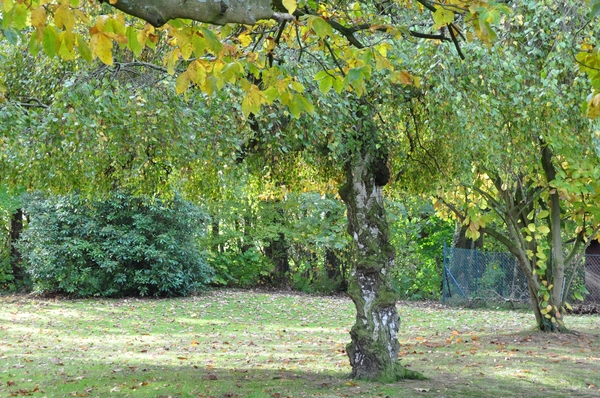 001 DE MENS DIE WIL ZIEN...IS IN STAAT TE GELOVEN...!