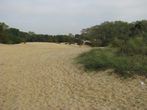 De Panne 061