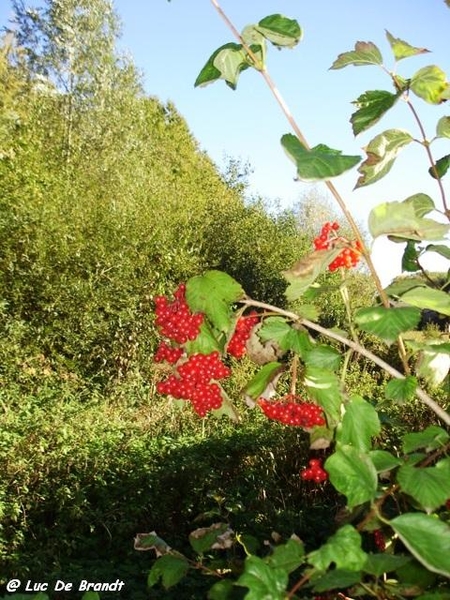 Ardennen wandeling Adeps Florennes