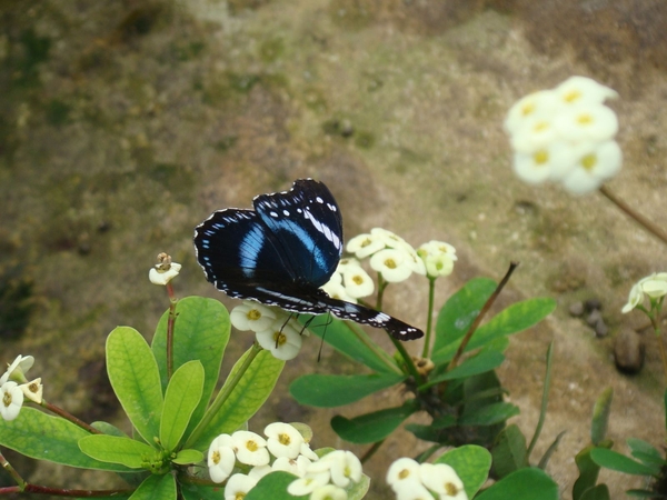 wallendorf-weekend_203