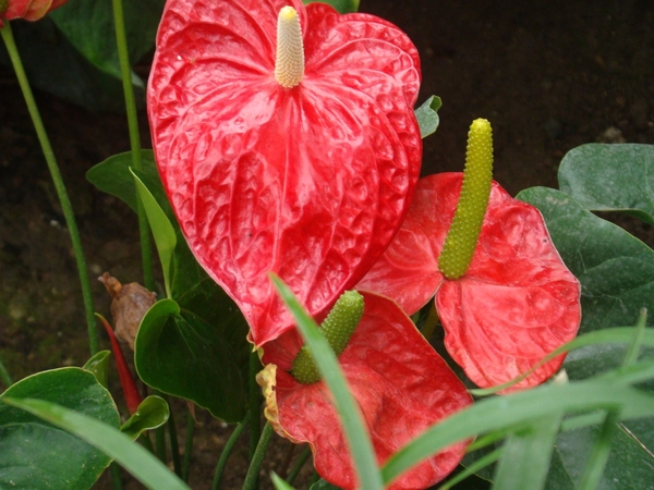 wallendorf-weekend_247