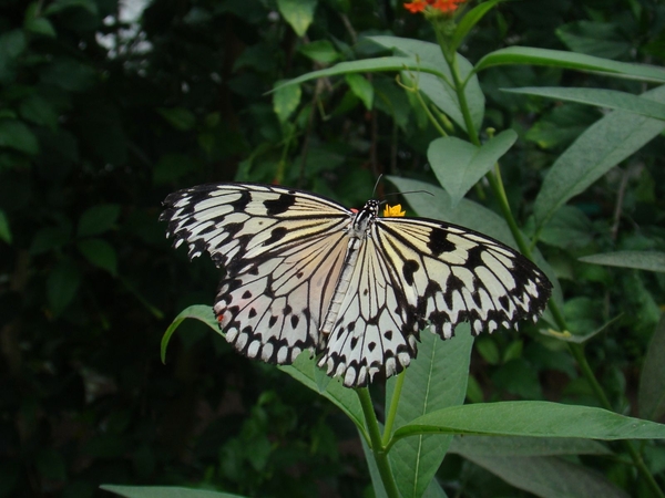 wallendorf-weekend_260