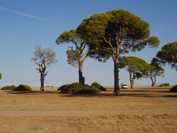 wandeling Cirali naar Tekirova (poging althans)