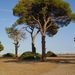 wandeling Cirali naar Tekirova (poging althans)