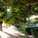 Bad Ems